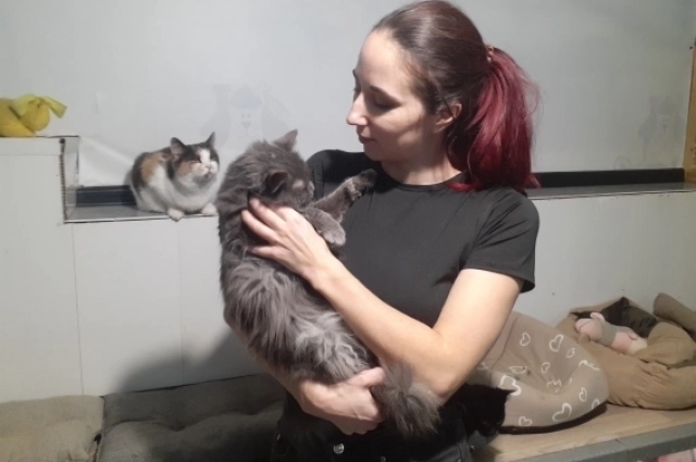 Волонтер Евгения с кошкой Ббогемой на руках, за  спиной у неё - трехцветная Радуга.