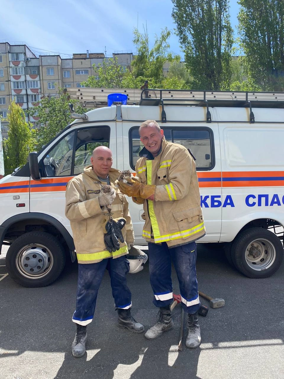 михаил спасатель