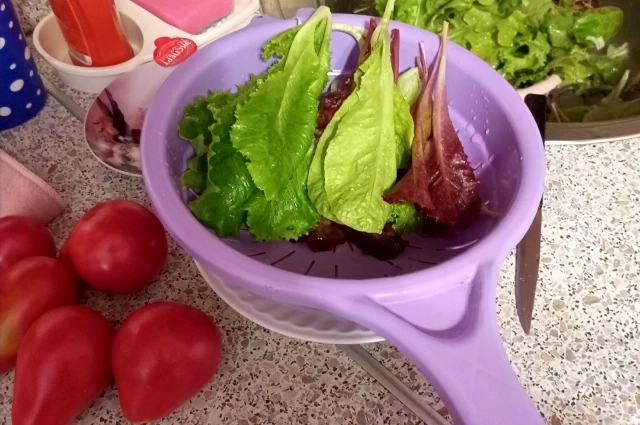 Летом на столе всегда свежий урожай