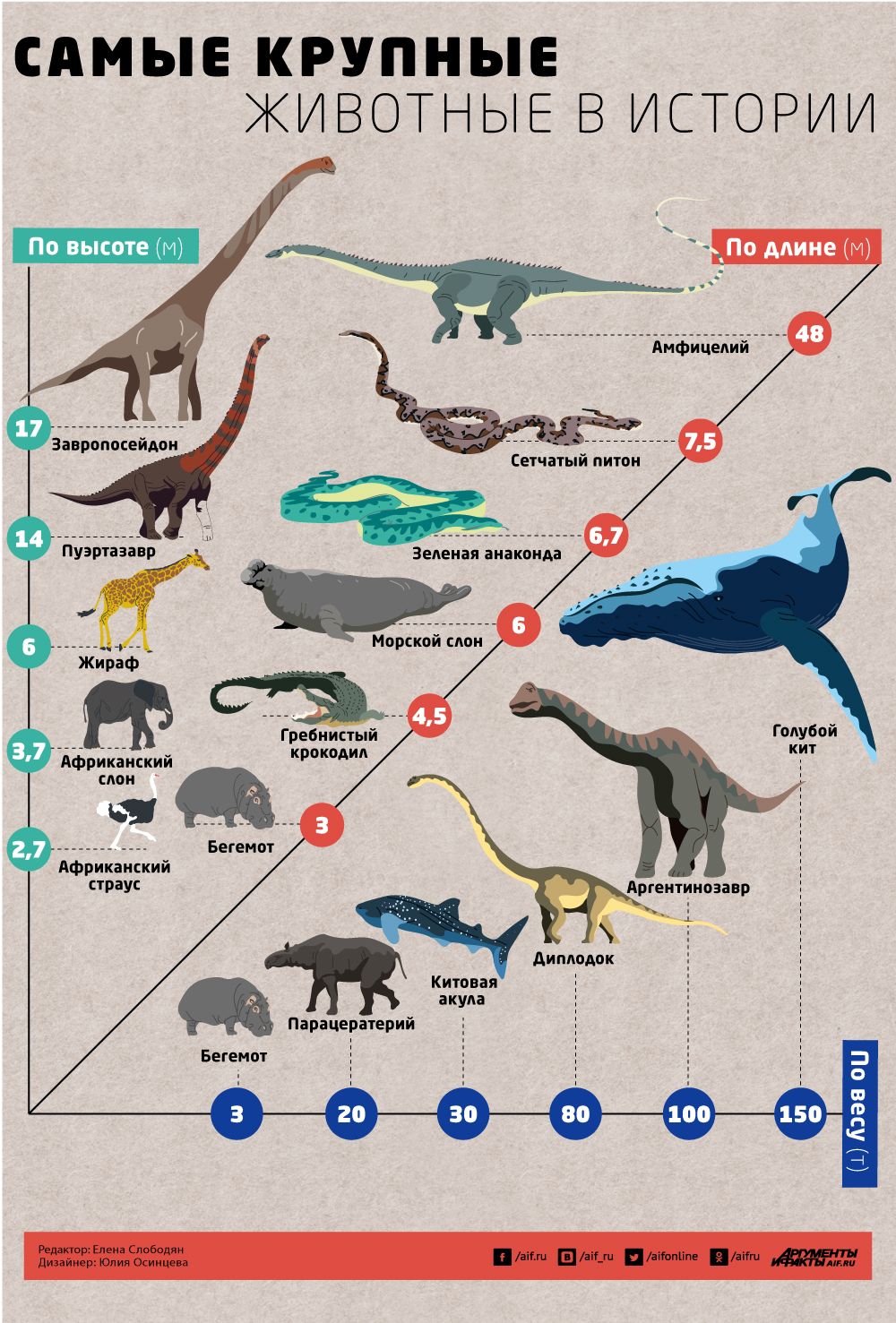 Самые большие животные список. Самые крупные животные таблица. Размеры животных. Сравнительные Размеры животных. Самые большие животные за всю историю земли.