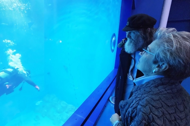 Путешественник был поражен красотой экспозиций