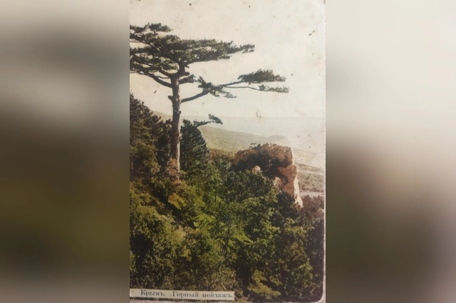 Эта открытка с пейзажем Крыма была отправлена из Крыма в Кременчуг — одному из узлов обеспечения фронта во время Первой мировой войны.