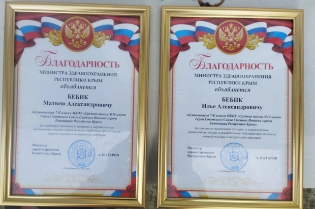 Благодарности Илье и Матвею Бебик.