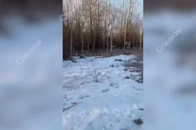 Тело подростка нашли в лесополосе неподалёку от железнодорожных путей