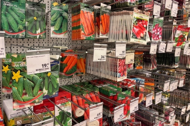 Какие семена и где лучше приобрести?