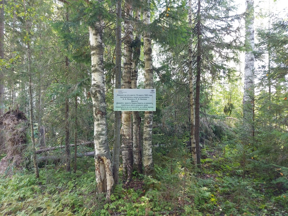 Дочь Леонова
