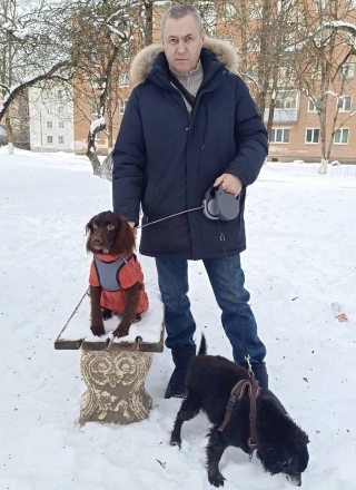 Такса Круэлла восстанавливается и Юлии и ее супруга