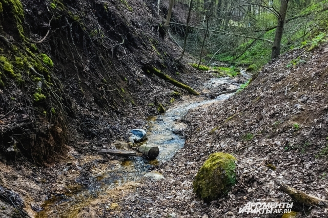 Смоленские гиды уже продумывают маршрут прогулок для туристов и смолян по долине реки Рачевка.