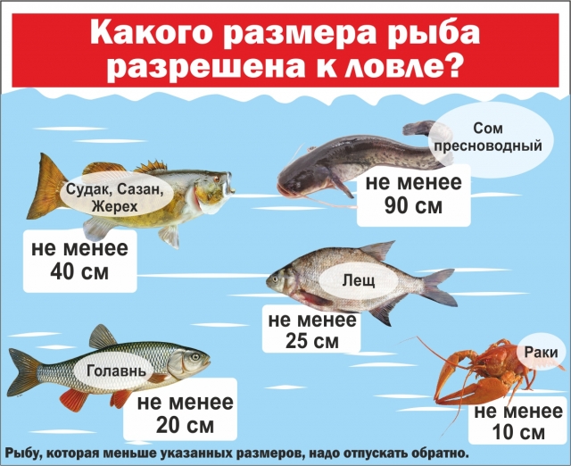 Запрет на ловлю в казахстане