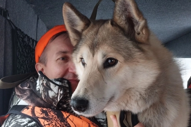 Собаки - часты спутники человека на охоте. Так было тысячи лет назад, так остается и сегодня.