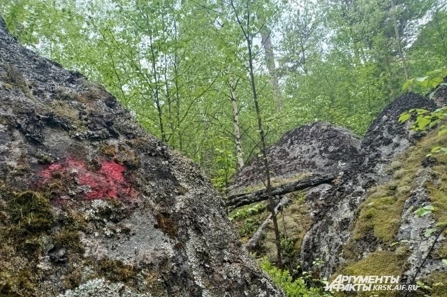 Метки, по которым ориентипруемся, есть на деревьях и камнях.