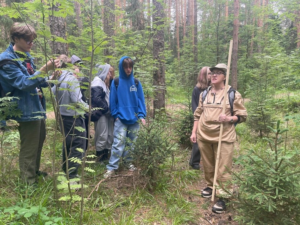 Черняевский лес