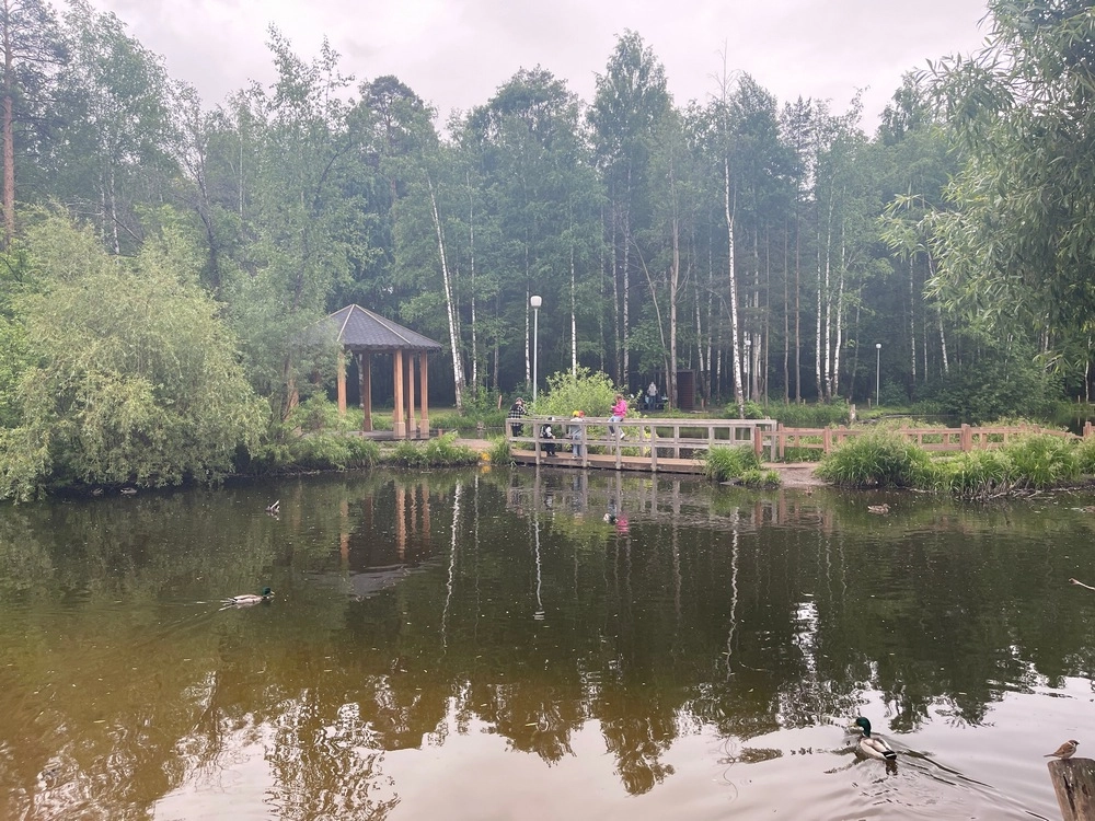 Черняевский лес