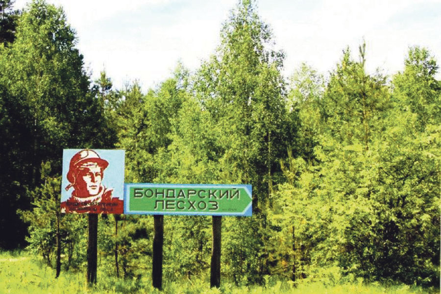 Под «опекой» Бондарского лесхоза находится почти 28 000 гектаров леса.