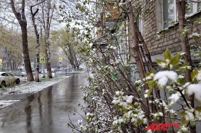 Снег может пойти в Прикамье в конце сентября.