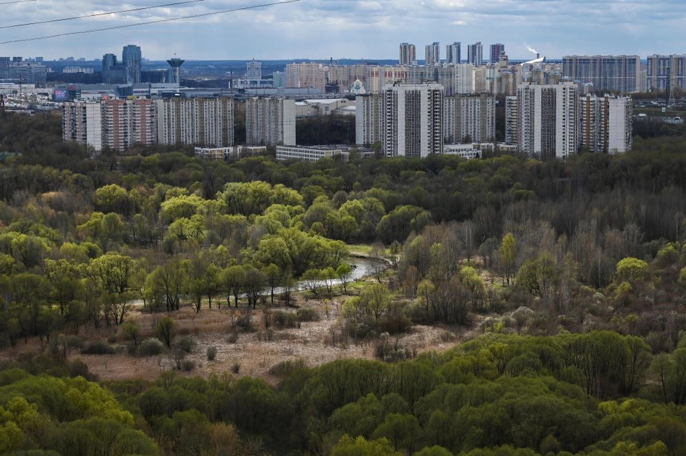 Тушинский парк.