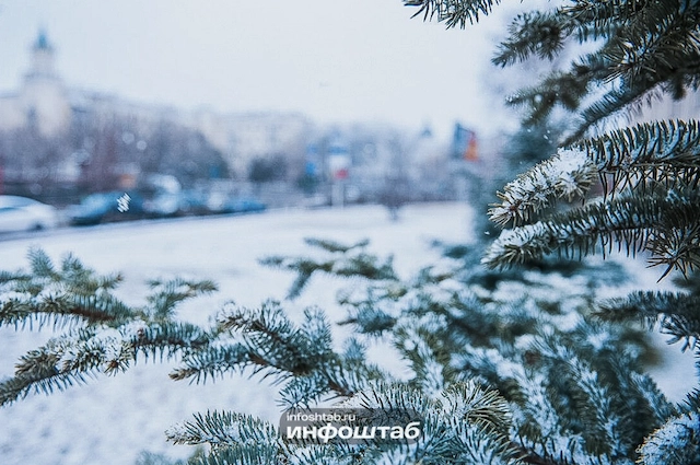 зима снег новый год елка 