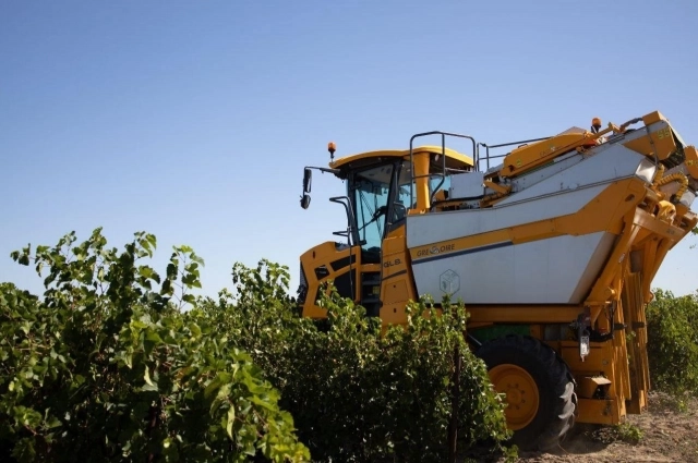 Для уборки используют новые комбайны.