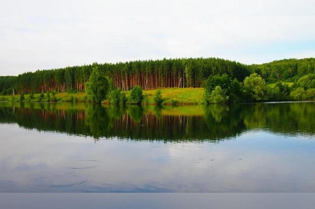 Нечистоты в реку сливались на протяжении 7 лет.