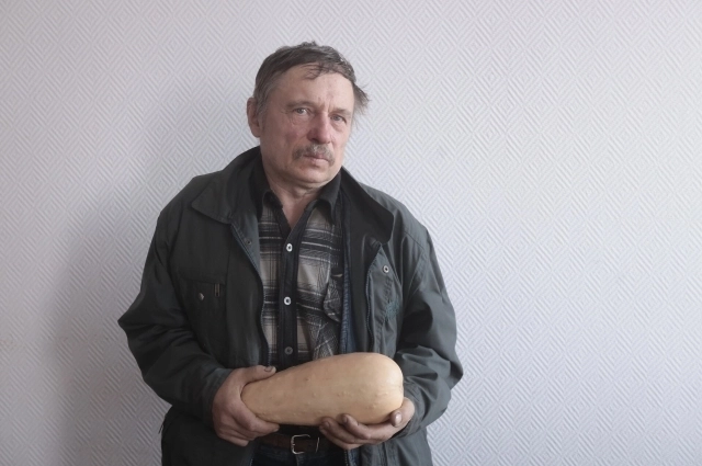 Йодированный патиссон спустя два года изменил форму – стал похожим на кабачок.