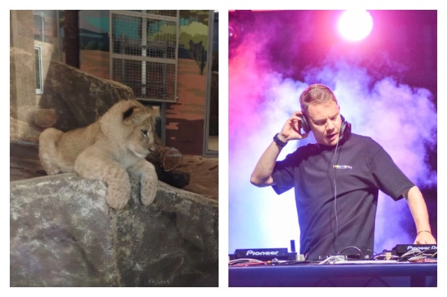 DJ Smash стал опекуном Тогана.