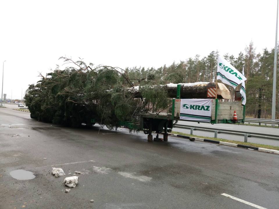 новогодняя елка