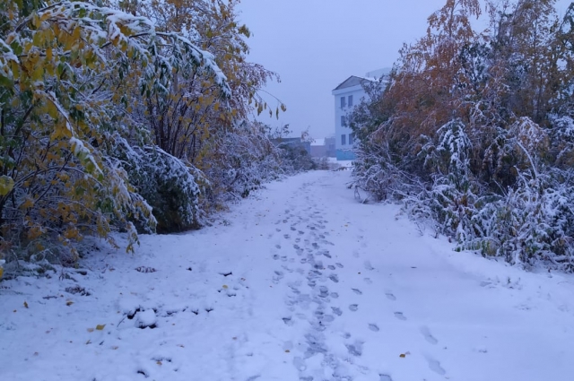 На севере Красноярского края выпал снег.