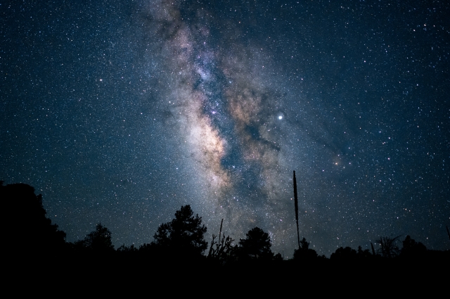 24 ноября следует обратить внимание на звёздное небо.
