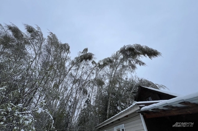 По 8 октября можно определить, какой будет зима.