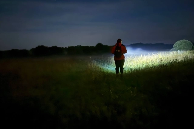 Найдена. Жива!