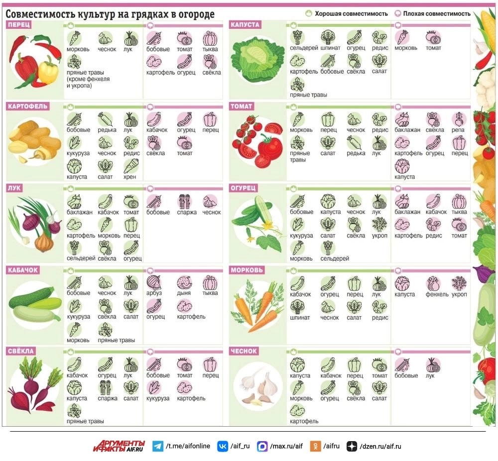 Нажмите для увеличения