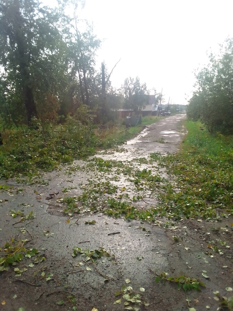 Ураган в Мурашинском районе