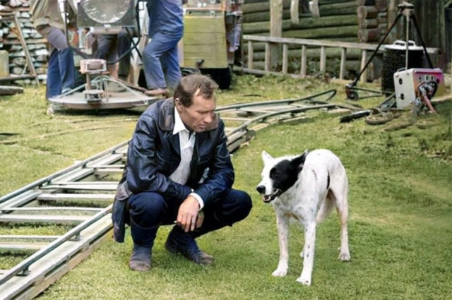 «Калину красную» преимущественно снимали в Вологодской области.