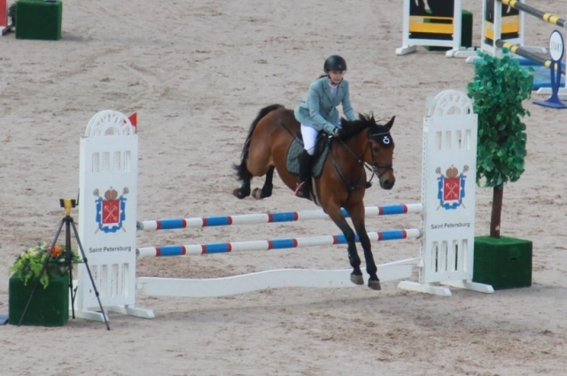 Год Коня (Лошади) покоя не обещает. 