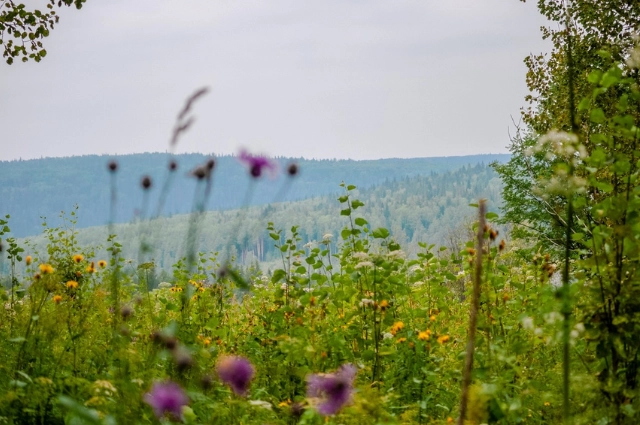Плакать не о чем! В Усть-Утке соседствуют души сплавщиков и Сергея Есенина