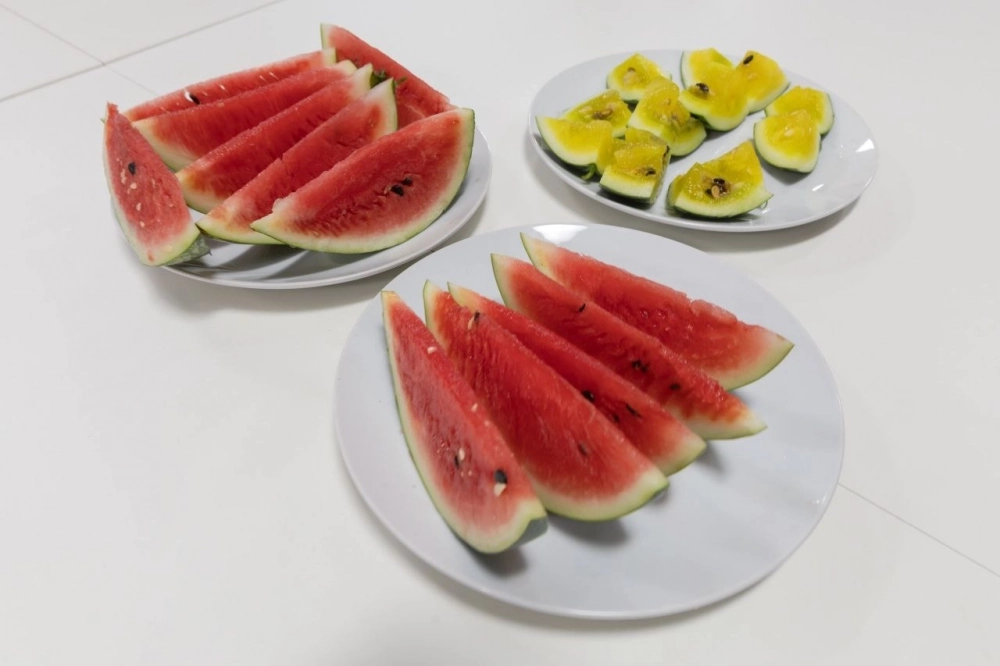 На вкус и аромат они не уступали астраханским, хотя и были маловаты — не более 13 сантиметров в диаметре.