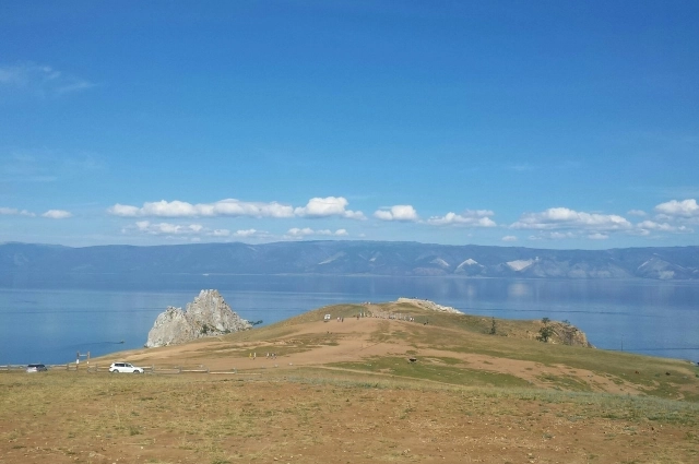 Первыми на изменение состояния воды реагируют микроорганизмы