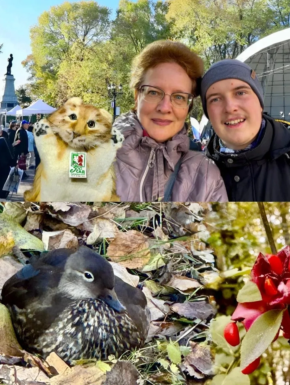 Квест 
