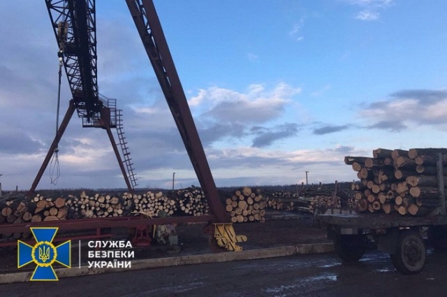 В Черкасской области приговорили к пяти годам заключения экс-директора лесного хозяйства за хищение древесины