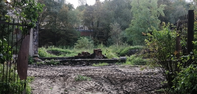 Сгоревшая дача в Шуваловском парке позже была продана с молотка как обычный земельный участок.