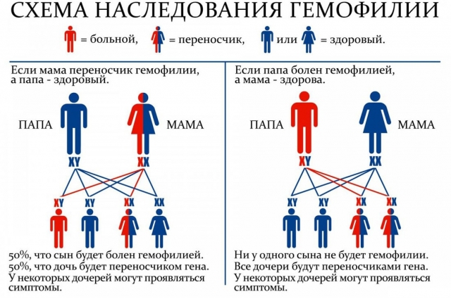 Хорошая физическая форма, крепкий мышечный каркас снижают риск кровотечений.