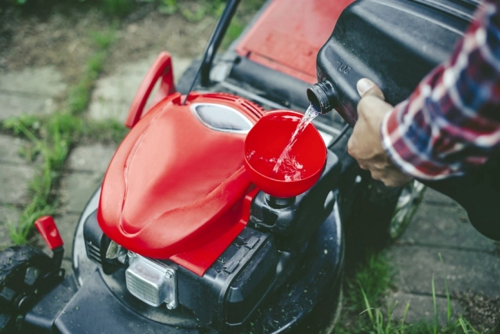 Регулярное скашивание постепенно изменит состав травы.