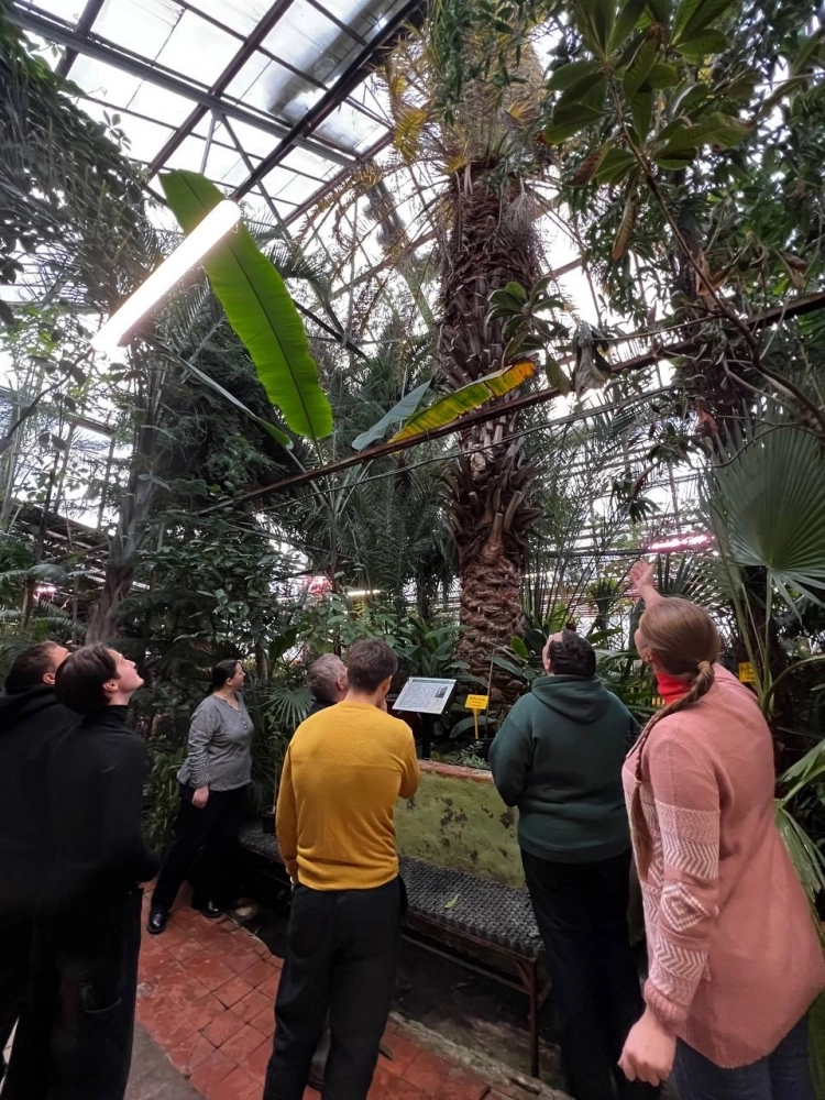 Пальма — символ университета. 