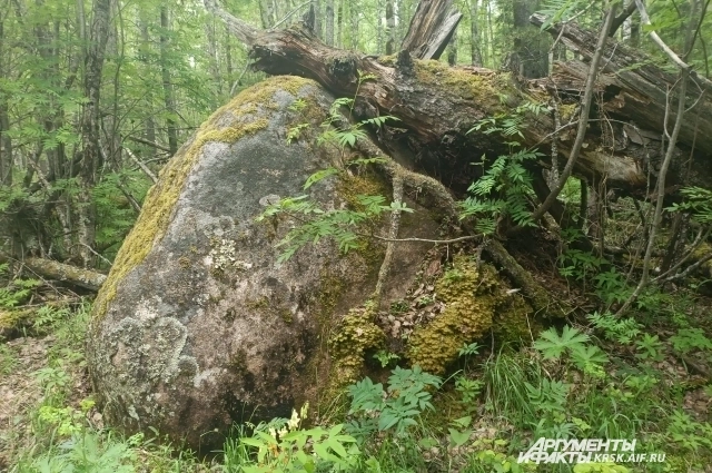 Таких камней там несколько.