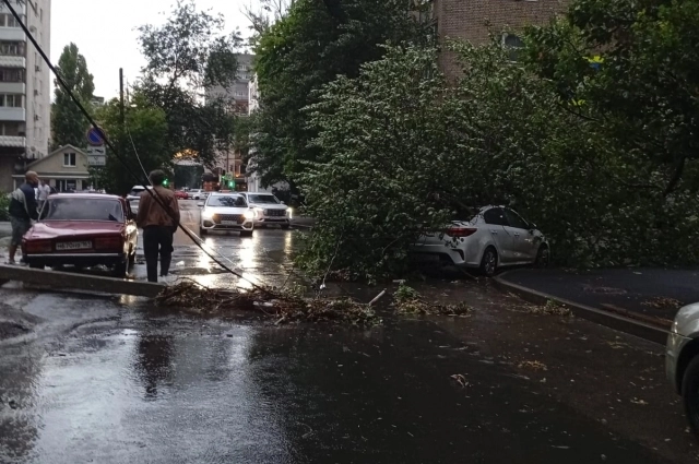 Из-за сильного ветра деревья падали на провода и машины.
