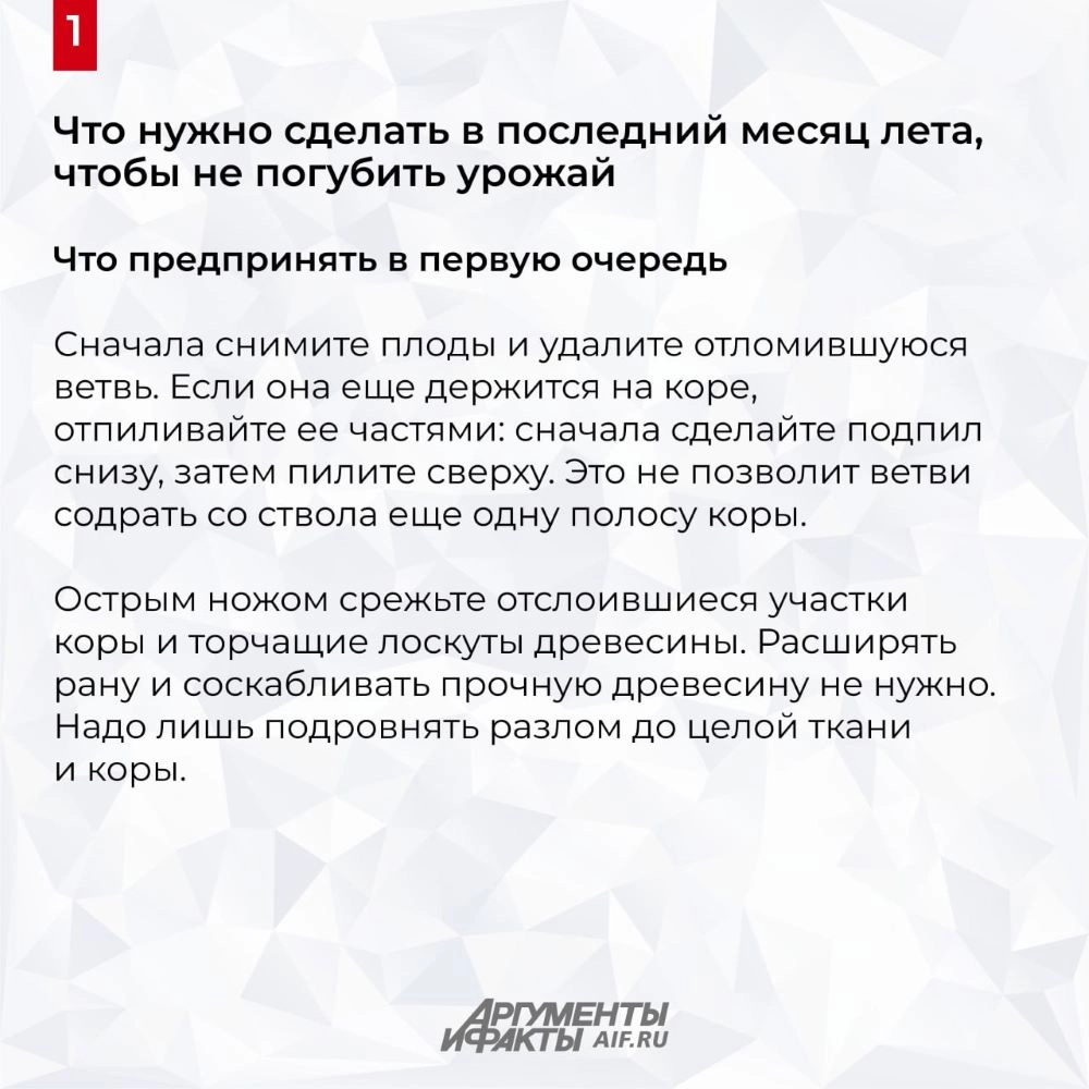 Нажмите для увеличения