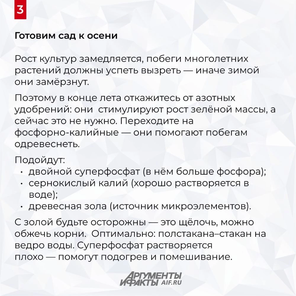 Нажмите для увеличения
