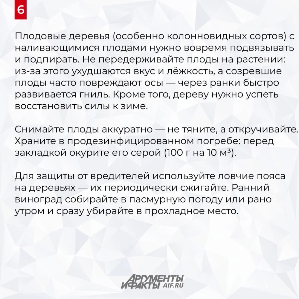 Нажмите для увеличения