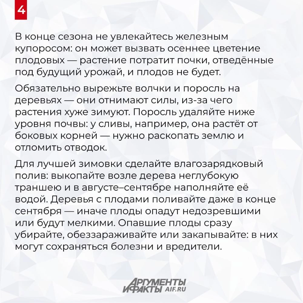 Нажмите для увеличения