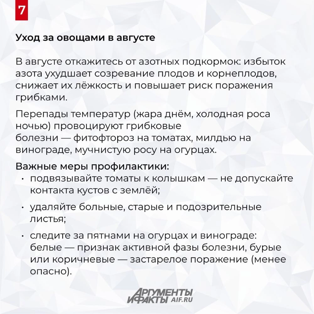 Нажмите для увеличения